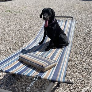 Meet your Posher, Scott